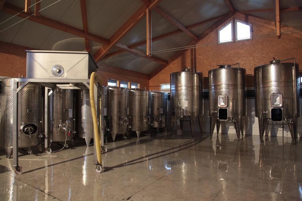 Winzerzimmer - Weingut Tinhof Eisenstadt Eksteriør bilde