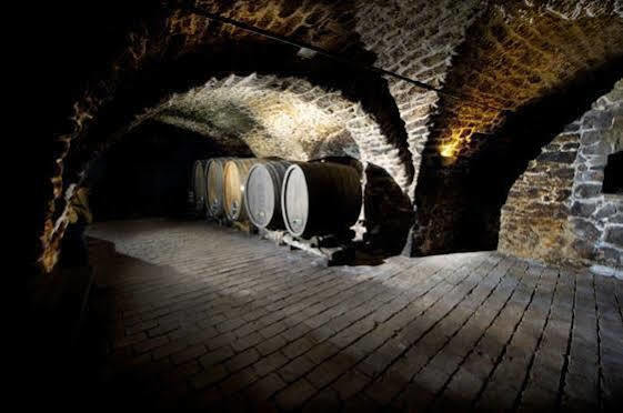 Winzerzimmer - Weingut Tinhof Eisenstadt Eksteriør bilde